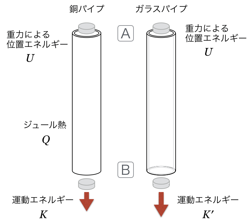 1B-5-5