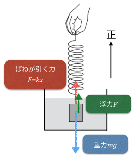 1bt-5-5